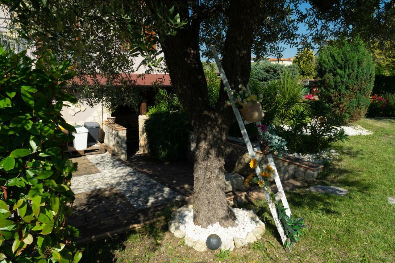 Bed & Breakfast Mafi Orsogna Экстерьер фото